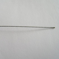 Sinking Carp Mainline