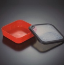 Small Bait Box for Carp Fishing