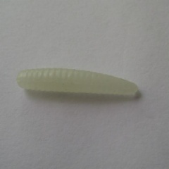 Artificial Maggot