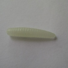Artificial Maggot